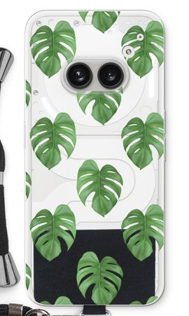 Monstera leaves