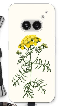 Tansy