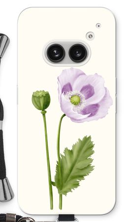 Purple poppy