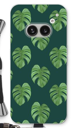 Monstera leaves