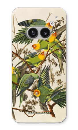 Carolina Parrot