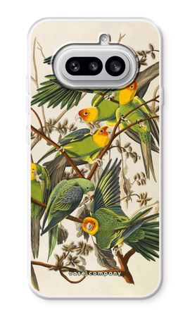Carolina Parrot