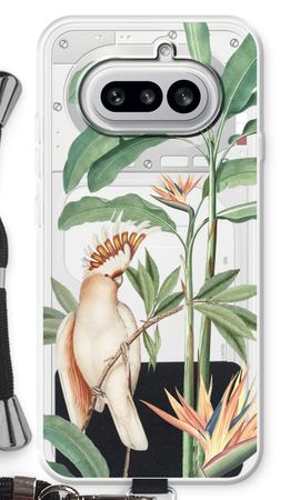 Tropical Parrot