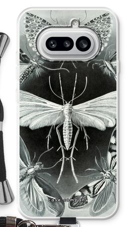 Haeckel Tineida