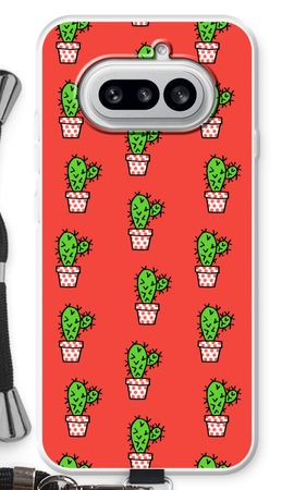 Mini cactus