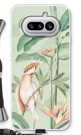 Tropical Parrot