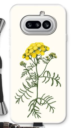 Tansy