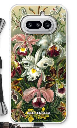 Haeckel Orchidae