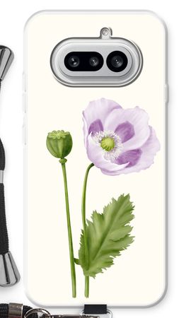 Purple poppy
