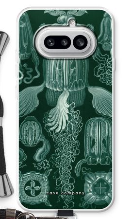 Haeckel Cubomedusae