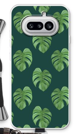 Monstera leaves