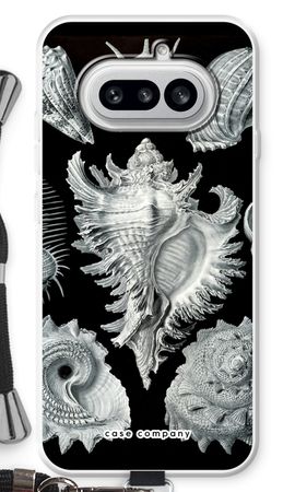 Haeckel Prosobranchia