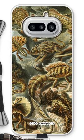 Haeckel Lacertilia