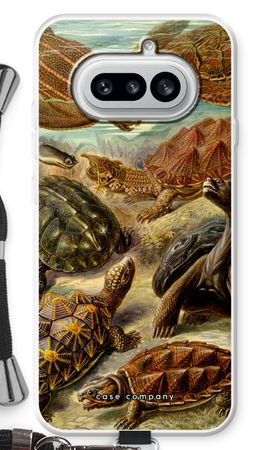 Haeckel Chelonia