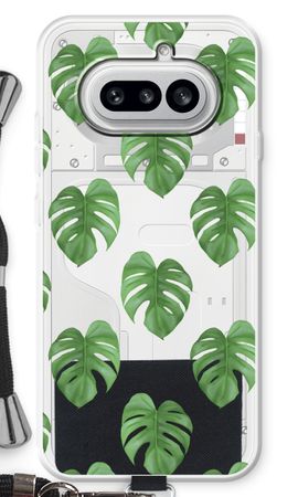 Monstera leaves