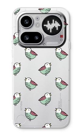 Little birds