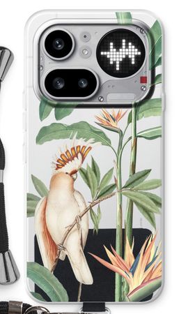 Tropical Parrot