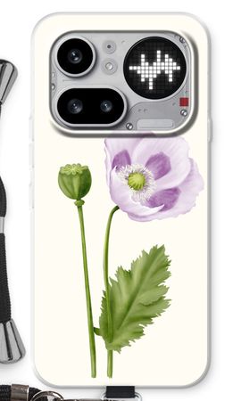 Purple poppy
