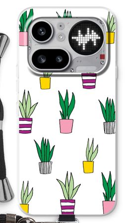Sanseveria