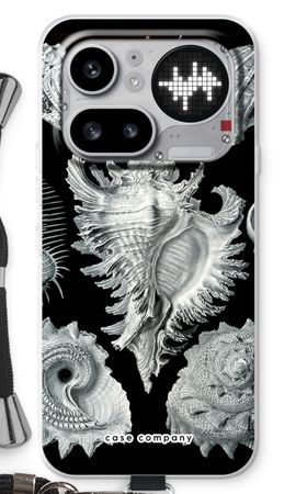 Haeckel Prosobranchia