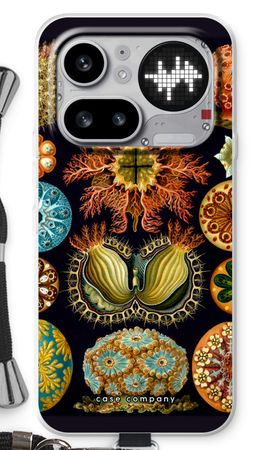 Haeckel Ascidiae