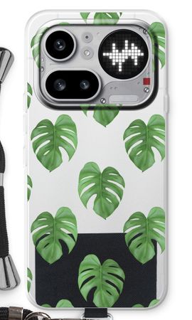Monstera leaves
