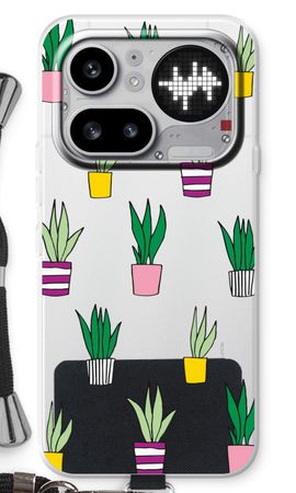 Sanseveria