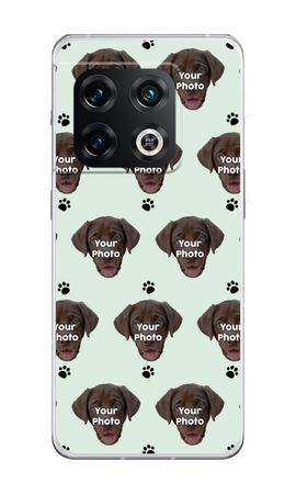 Personalized Face - Cat or Dog