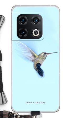 Hummingbird