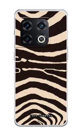 Arizona Zebra