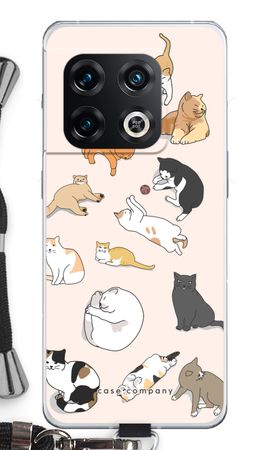 Cats