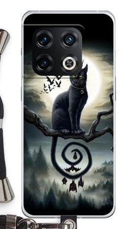 Moonlight Companions