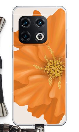 Orange Ellila flower