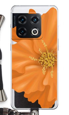 Orange Ellila flower