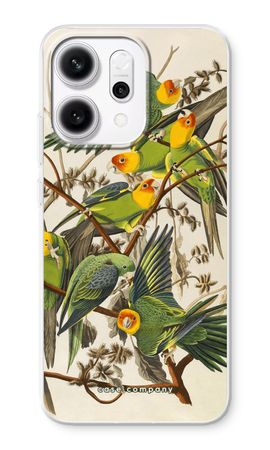 Carolina Parrot