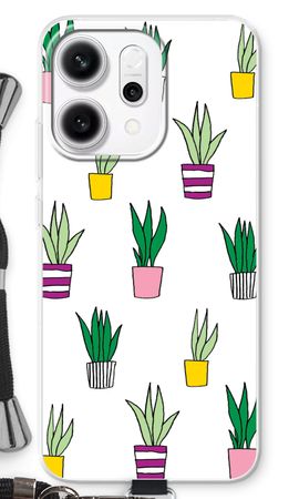 Sanseveria