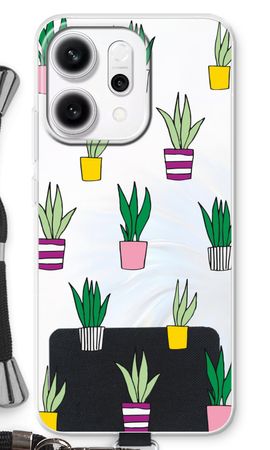 Sanseveria