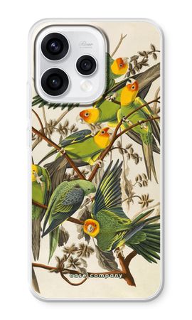 Carolina Parrot