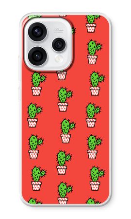 Mini cactus