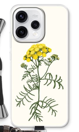 Tansy