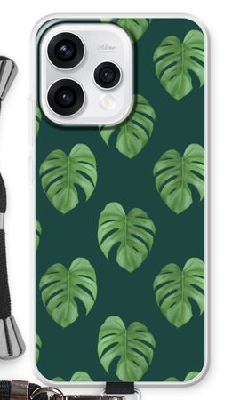 Monstera leaves