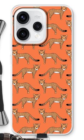 Cheetah