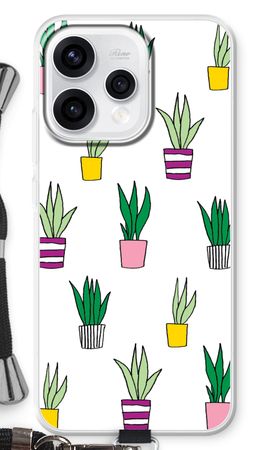 Sanseveria