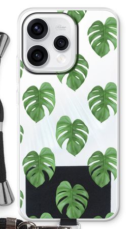 Monstera leaves