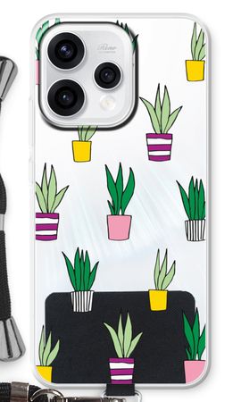 Sanseveria