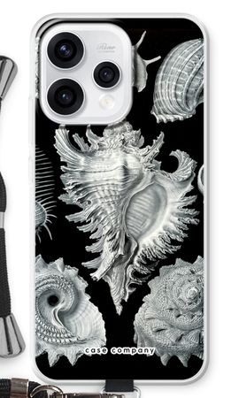Haeckel Prosobranchia