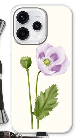 Purple poppy