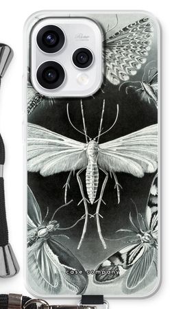 Haeckel Tineida