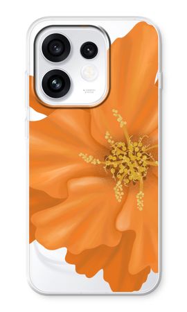 Orange Ellila flower