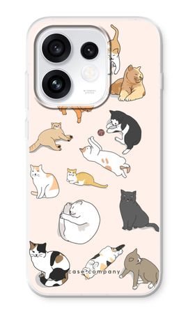 Chats